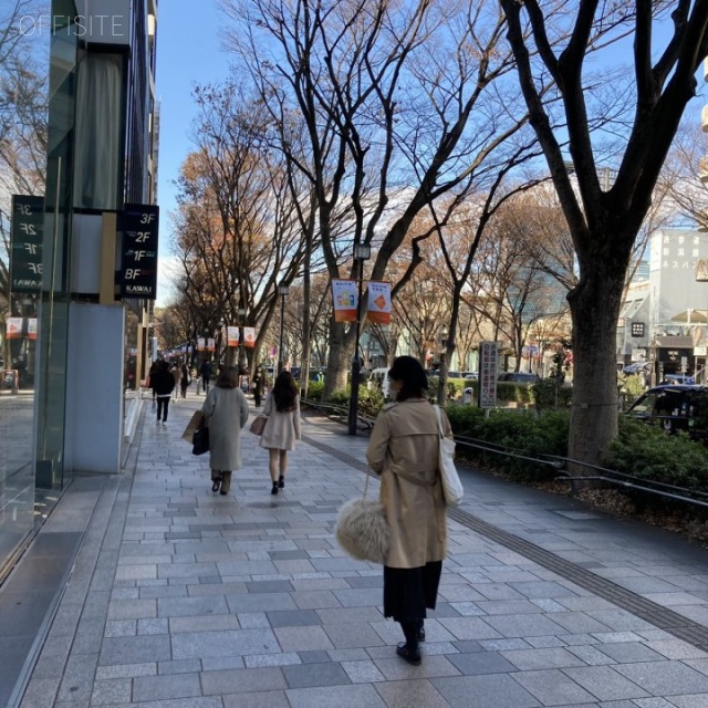 表参道Keyakiビル ビル前面道路