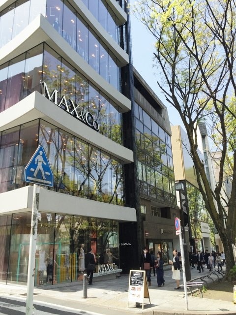 MAX&Co.ビル 画像
