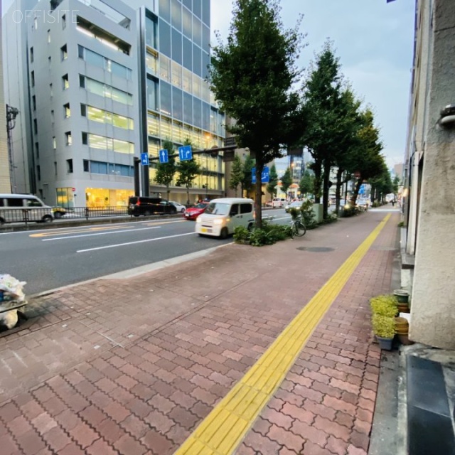 ハイム御茶ノ水 ビル前面道路