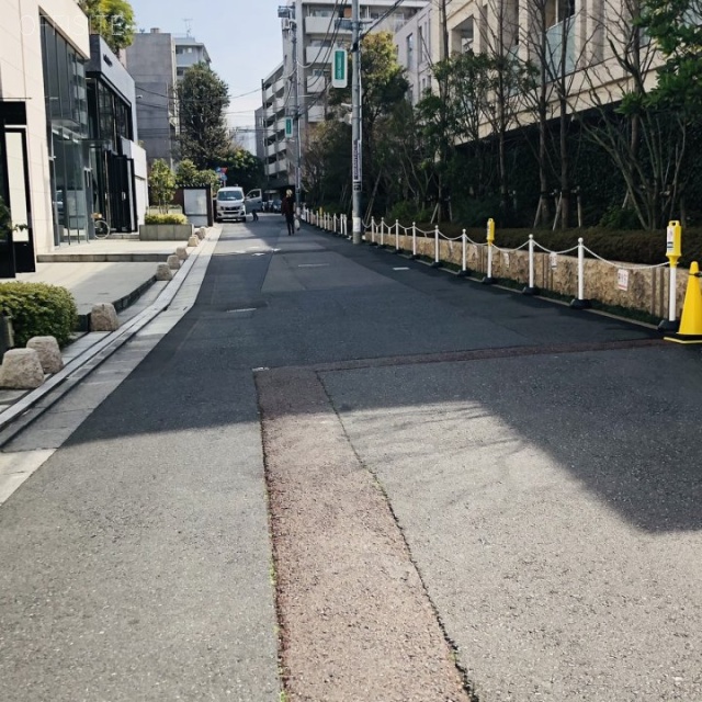 パレロワイヤル南青山 ビル前面道路