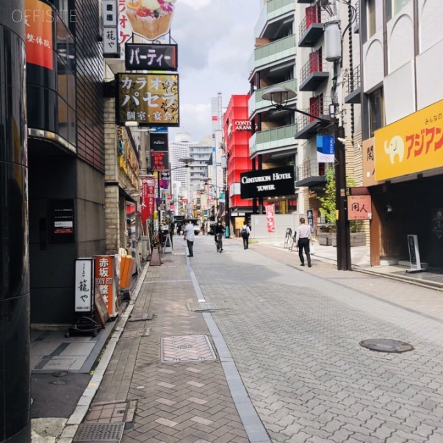 赤坂三河家ビル ビル前面道路
