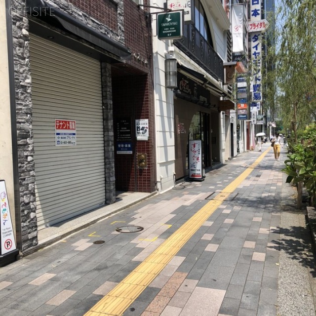 銀座花の木ビル ビル前面道路
