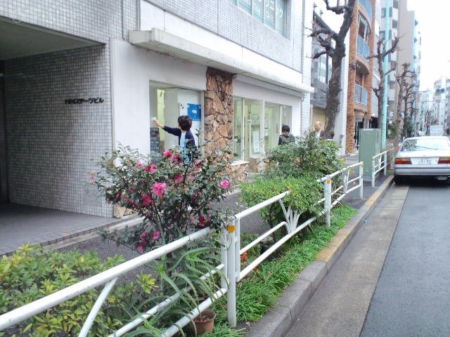 NNステーツビル 画像