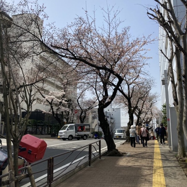 オーミヤ宮崎台ビル ビル前面道路