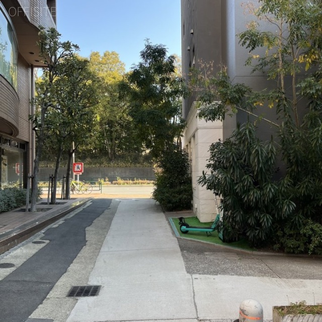 南青山森下ビル 前面道路