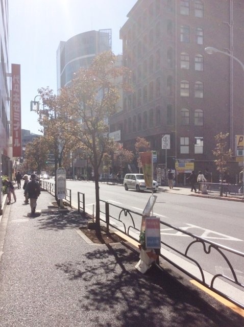 吉川代々木ビル ビル周辺道路