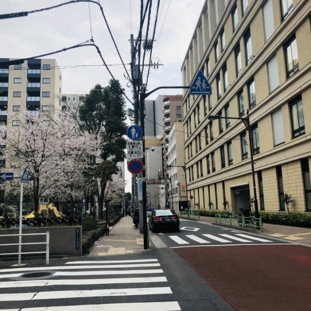 第2小高ビル ビル前面道路