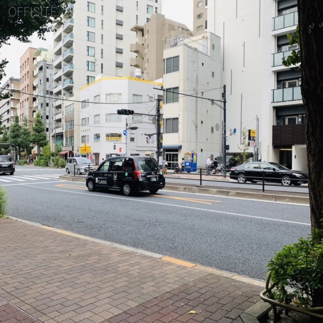 種苗会館ビル ビル前面道路