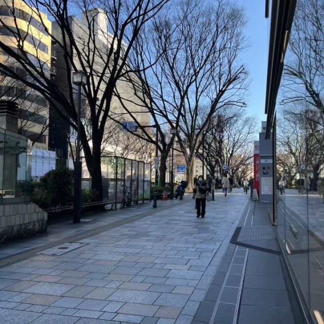 oak omotesando 周辺