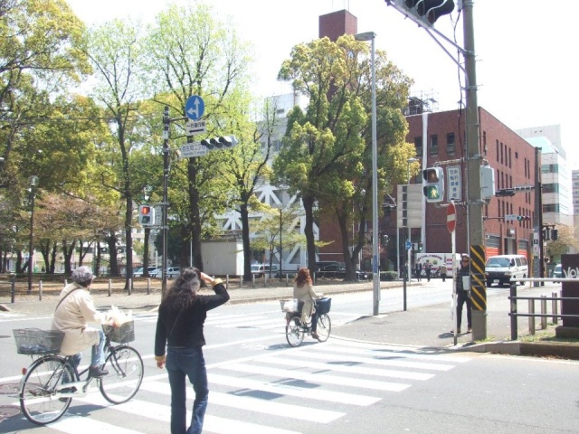 ロイヤルステージST大通公園 ビル前面道路