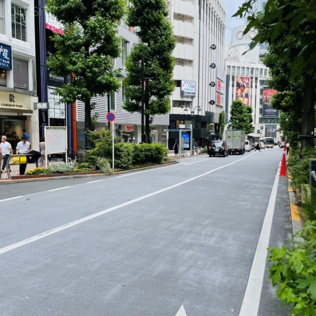 パークウェイテラス ビル前面道路