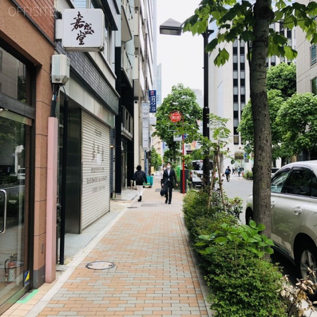 アリビオ東京八重洲 ビル前面道路