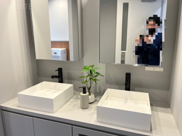 グランファースト芝大門 洗面