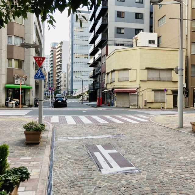 ルーシスビル ビル前面道路