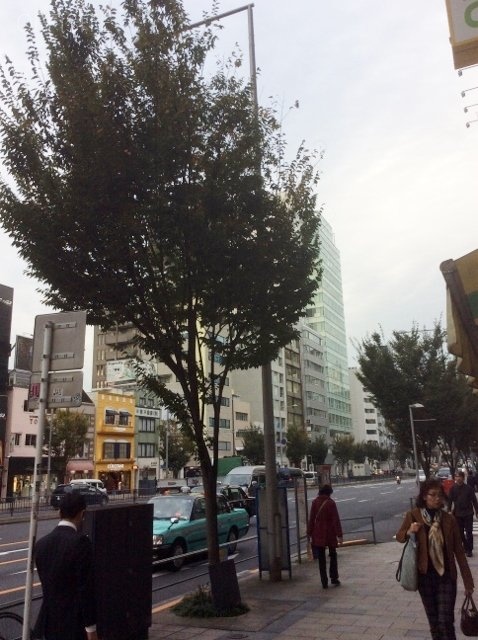 ワークス南青山 ビル周辺道路