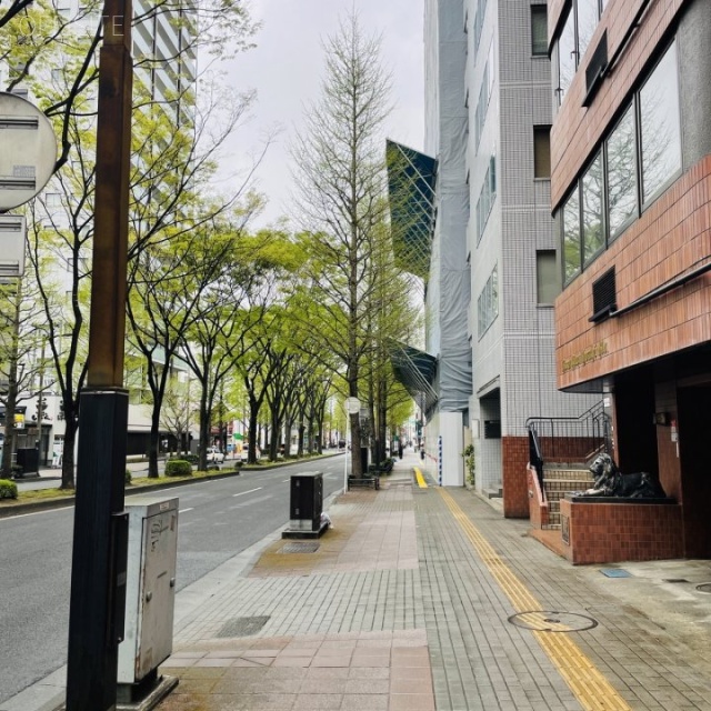 家福ビル　前面道路
