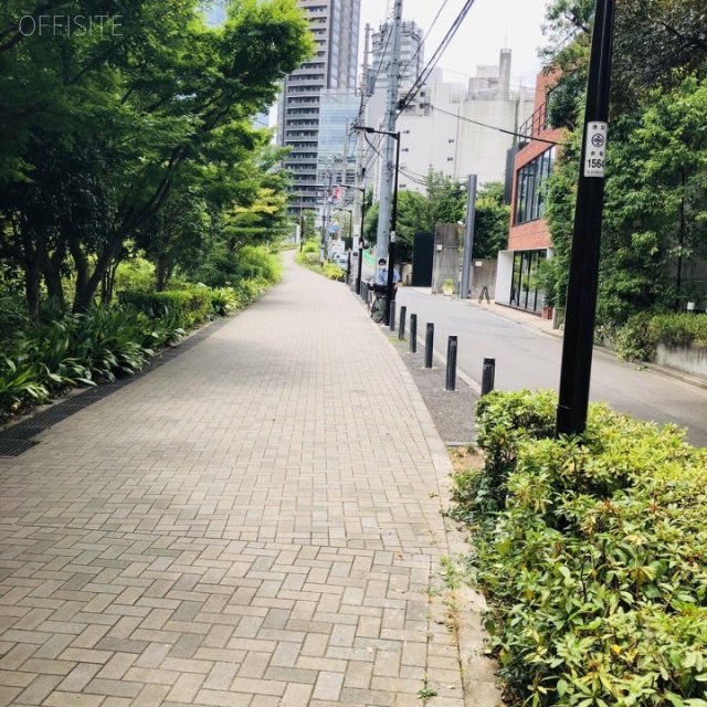 パークサイドシックス ビル前面道路