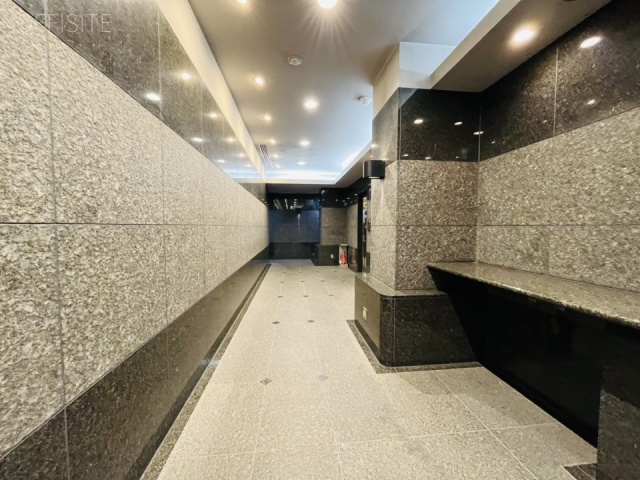 ニューギンザビル6号館 エントランス