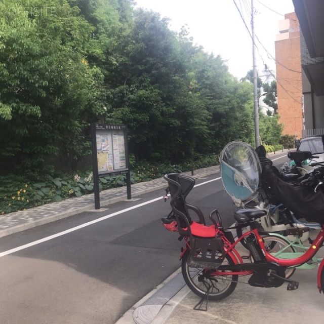 クリアスタイル青山　ビル前面道路
