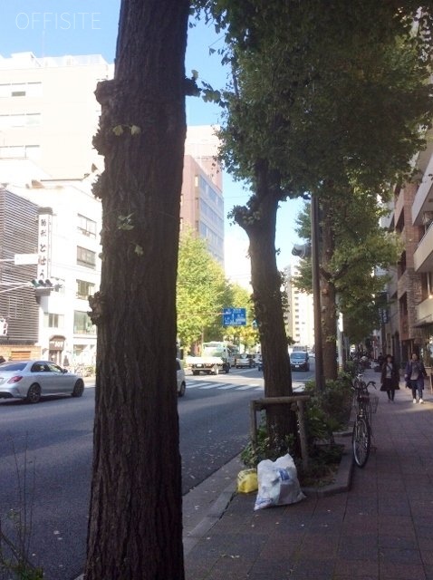 マルヤマビル ビル周辺道路