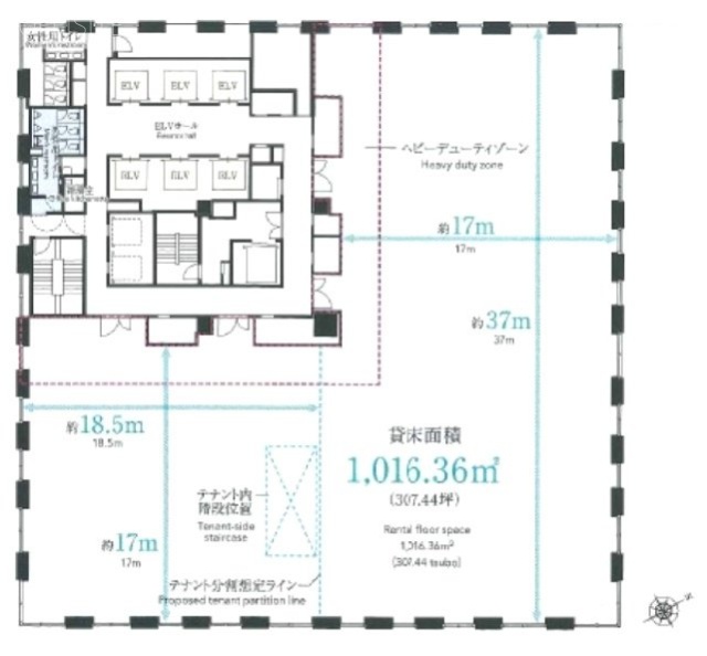 Dタワー西新宿C 間取り図