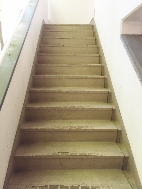 白鳥ハイツ 画像