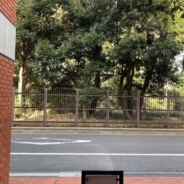 コートリィ ビル前面道路