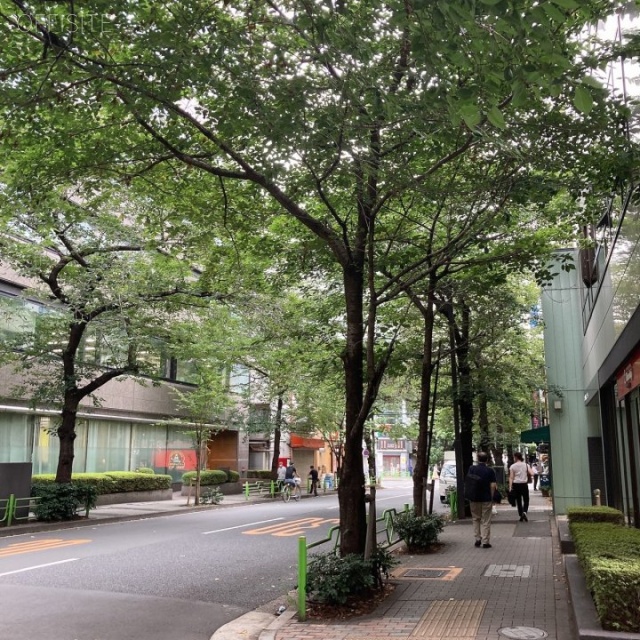 大成ビル ビル前面道路