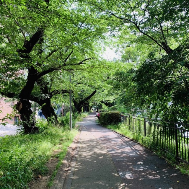 KYONIビル 外濠公園の緑道が目の前