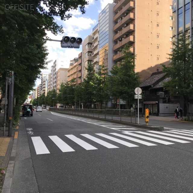 シティ音羽 ビル前面道路