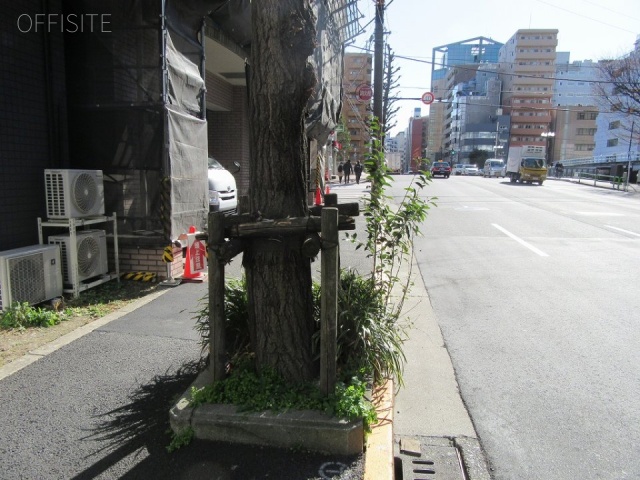 プロヴァンスAK・B審美館 ビル前面道路