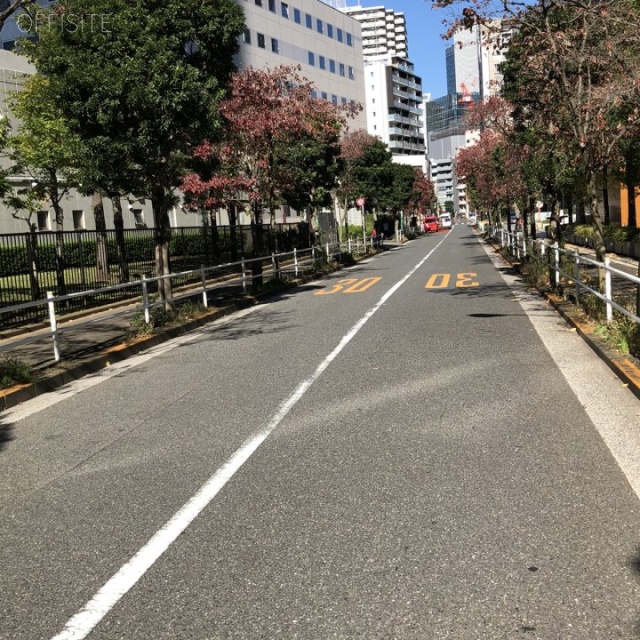 東単ビル ビル前面道路