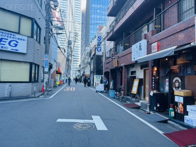 デュオ・スカーラ西新宿 周辺