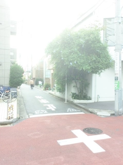 メゾン岡田 ビル周辺道路