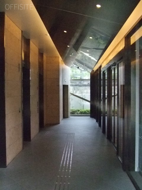 THE HEXAGON 画像