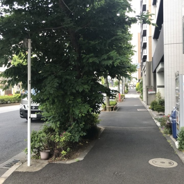 近藤ビル ビル前面道路