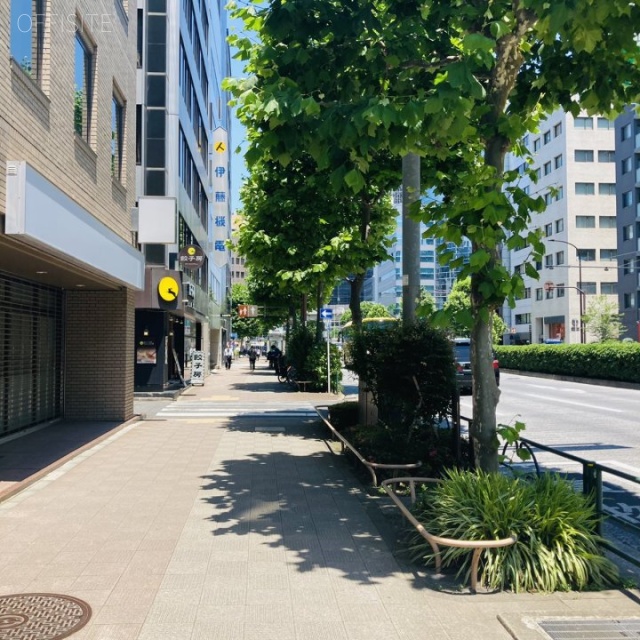 タカギビル ビル前面道路