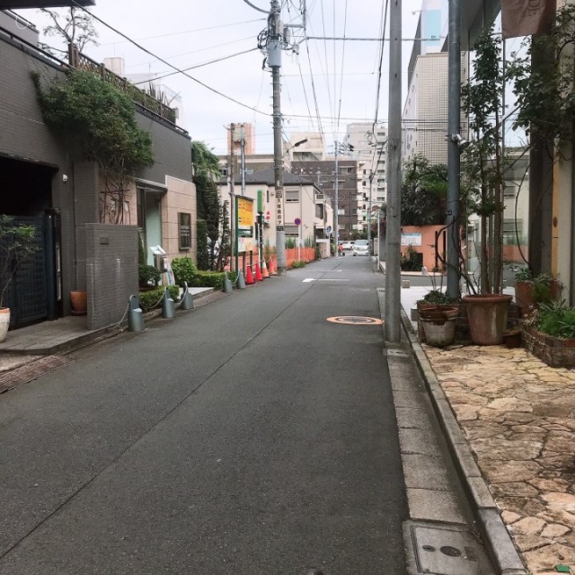 グリーンビル ビル前面道路