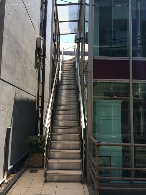 原宿フォース 画像