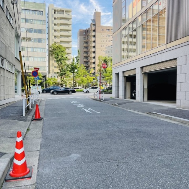 ヴァンキッシュビル 前面道路