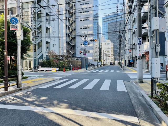 マリオン飯島　前面道路