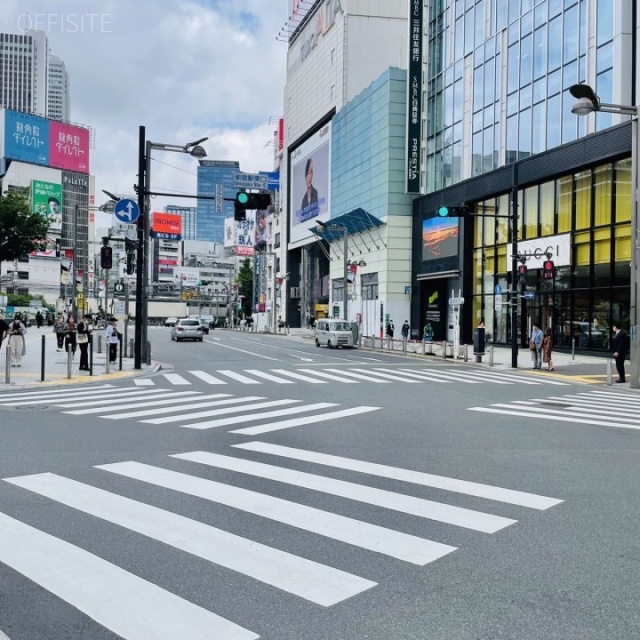 ヒューリック新宿 ビル前面道路