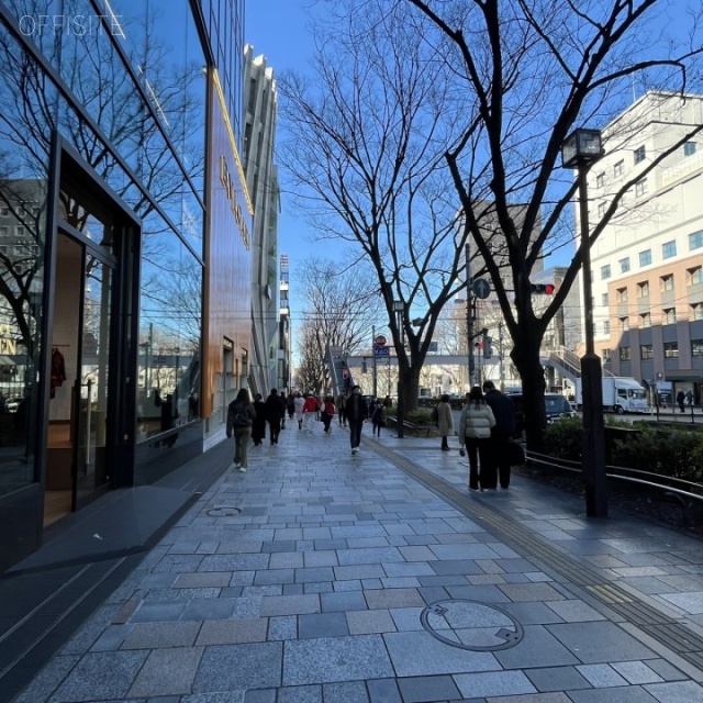 oak omotesando 周辺