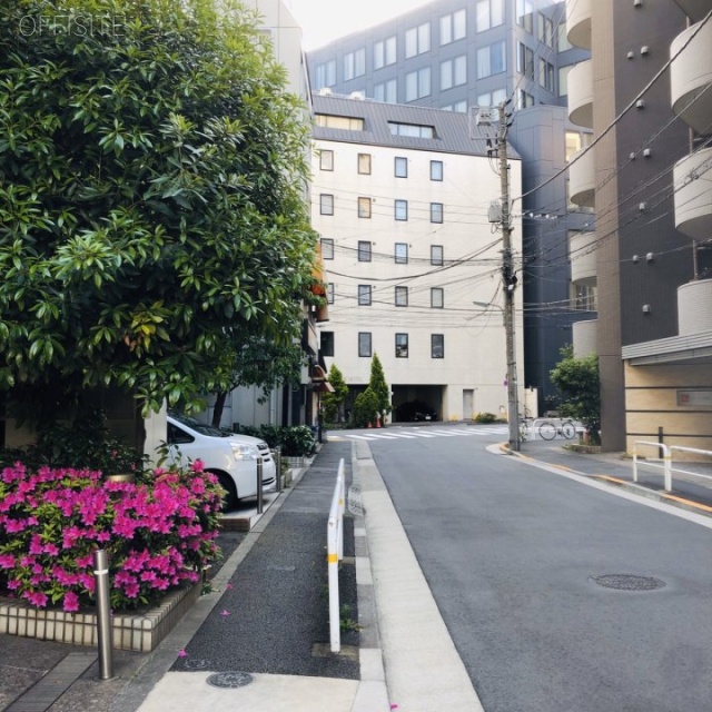 いちご東五反田(G-PLACE五反田)ビル ビル前面道路