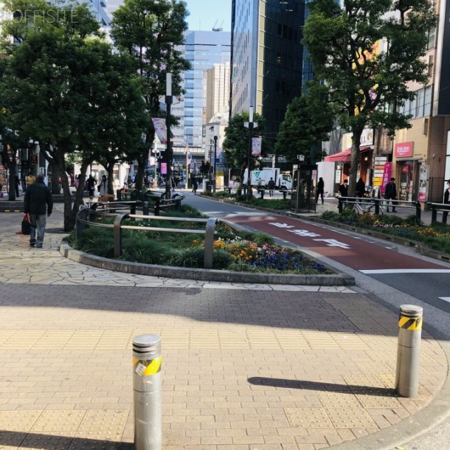 THE KINDAI 12 IKEBUKURO ビル前面道路