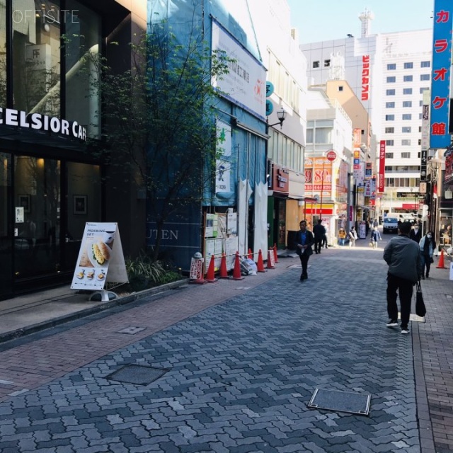 臨水第1ビル ビル前面道路