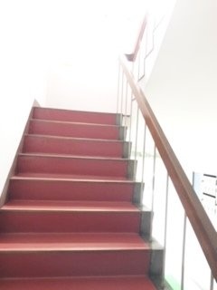 渋谷たばこ南業組合ビル 画像