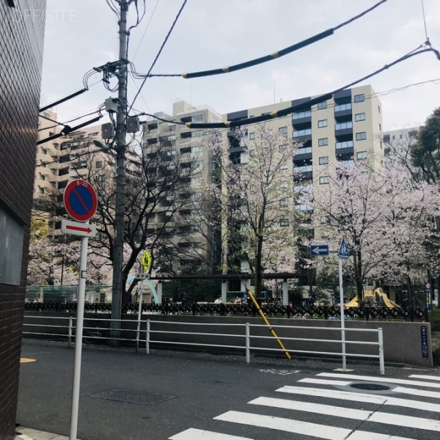 第2小高ビル ビル前面道路