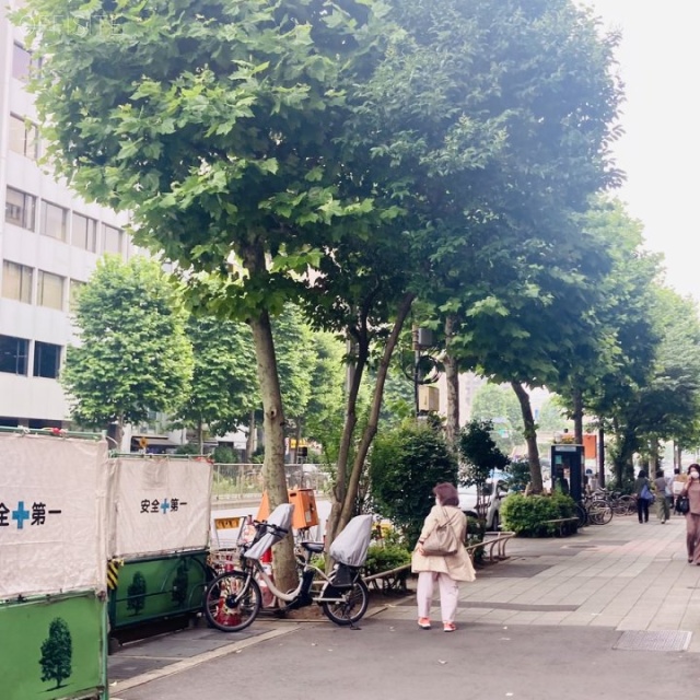RBM築地駅前ビル ビル前面道路