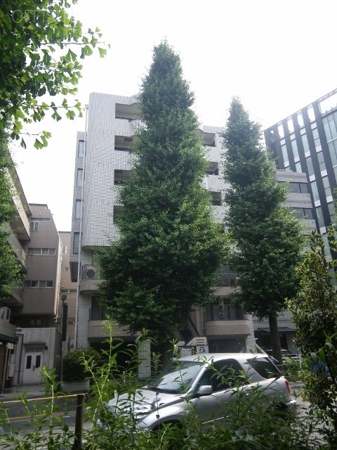 エクレール千駄ヶ谷ビル IMGP1680 (480x640).jpg